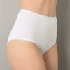 Maxi Briefs 2 Maxi Briefs -Damart shop 42048 01010 F 1 HD 3