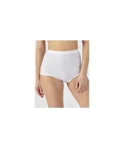Pack Of 4 Maxi Briefs