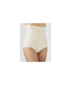 High Waist Shaping Briefs